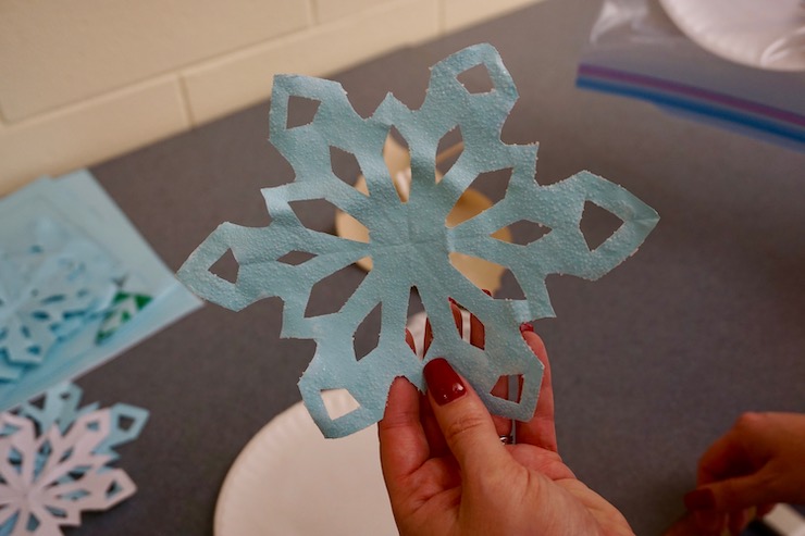 <p>Students experimented with salt crystals on snowflakes …</p>
